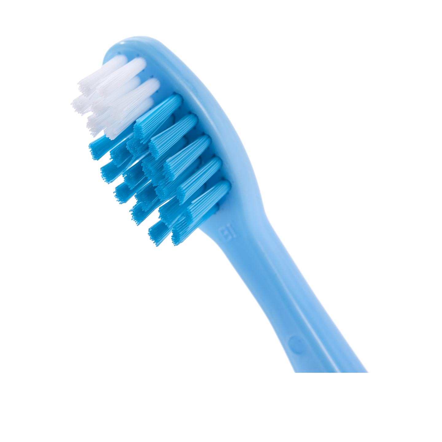 Blue toothbrush best sale